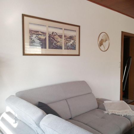Ferienwohnung Schwalbennest زومرآخ المظهر الخارجي الصورة